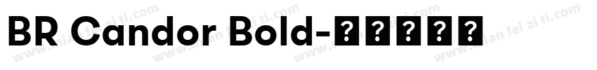 BR Candor Bold字体转换